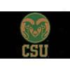 Logo Rugs Colorado State University Colorado State Entry Mat 2 X 2 Area Rugs