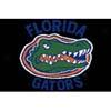 Logo Rugs Florida University Florida Entry Mat 2 X 2 Area Rugs