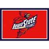 Logo Rugs Iowa State University Iowa State Area Rug 3 X 5 Area Rugs