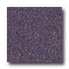 Mannington Biospec Eggplant Vinyl Flooring