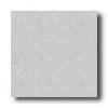 Mannington Biospec Mineral Gray Vinyl Flooring