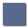 Mannington Biospec New Navy Vinyl Flooring