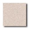 Mannington Biospec Toasted Benne Vinyl Flooring