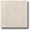 Marazzi Fossili Polished 12 X 24 Paleonisco White Tile & Stone