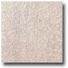 Marazzi Fossili Polished 12 X 24 Trilobite Pink Tile & Stone