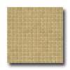 Marazzi Glasz Mosaics 1 X 1 Light Brown Tile & Stone