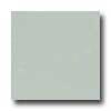 Marazzi Le Cromie Polished 12 X 12 Smeraldo Tile & Stone