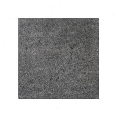 Marca Corona Natural Living Rectified 12 X 24 Dark Tile & Stone