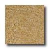 Milliken Tesserae Specteum Chamois Carpet Tiles