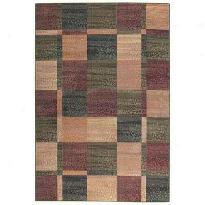 Mohawk Antique 5 X 8 Timesquare Area Rugs