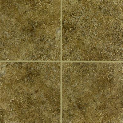 Mohawk Bella Rocca Floor 12 X 12 Tusccan Brown Tile & Stone