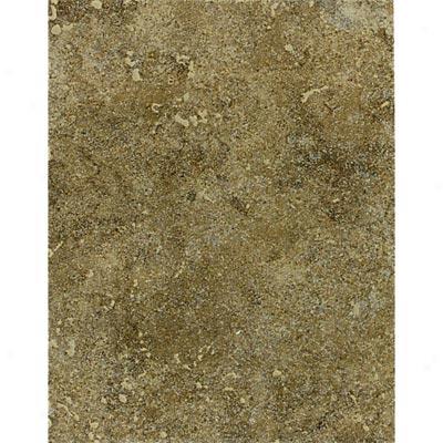 Mohawk Bella Rocca Wall 9 X 12 Tuscan Brown Tile & Stone