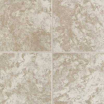 Mohawk Pagin Stone 10 X 14 Gray Flannel Tile & Rock