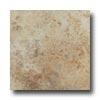 Mohawk Primabella 12 X 12 Latte Tile & Gem