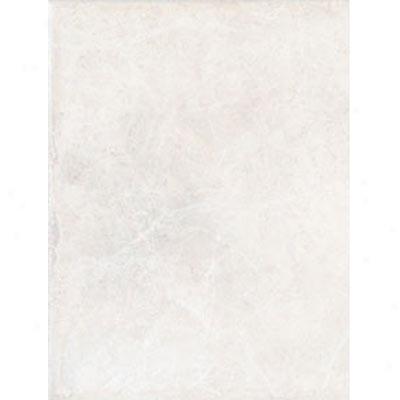 Mohawk Rivers 9-1/2 X 12 White 2698 Tile & Stone