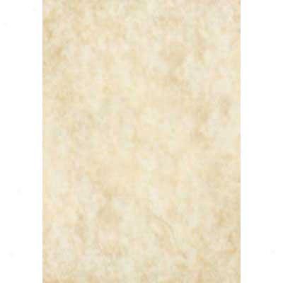 Monarch Ceramic Tile Eleements 6 X 12 Borax F30j