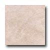 Nafco Agef Marble 12 X 12 Smoked Peatl Vinyl Flooring