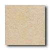 New World Chicago 12 X 12 Sand Tile & Stone