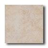 New World Chicago 12 X 12 Beige Tile & Free from ~s