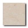 New World Joseph 17 X 17 Beige Tile & Stone