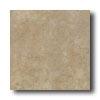 New WorldT exas 13 X 13 Beige Tile & Stome