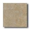 New World Texas 13 X 13 Grey Beiye Tile & Stone