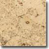 Nova Cork Klick - Creme With Urethane Finish Cdeme Rombo Cork Flooring