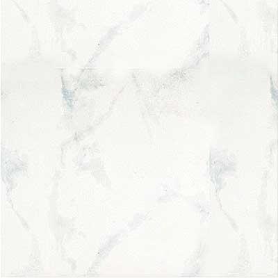 Portobello Marmi 12 X 12 Carrara Bianco Tile & Stone