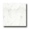 Portobello Marmi 24 X 48 Carrara Bianco Tils & Stone