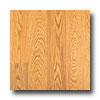 Quick-step Eligna Uniclic Long Plank 8mm Island Oak Laminate Flooring