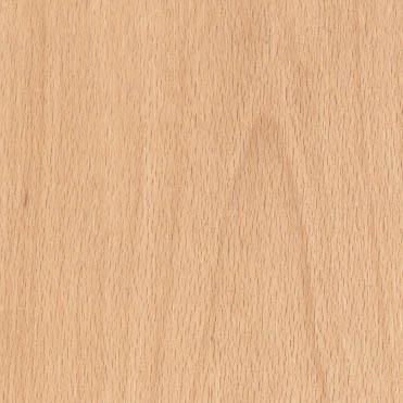 Quick-step Perspective 9 .5mm Varnished Beech Ul866