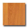 Quickstyle Unifloor Pioneer Cherry Laminate Flooring