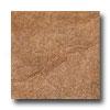 Ragno Burgundy 20 X 20 Terracotta Tile & Stone