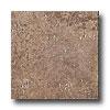 Ragno Petra 13 X 13 Colurnus Tile & Stone