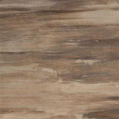 Rex Horh Glossy Rectified 8 X 24 Warm Tile & Stone