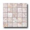 Rex Magistra Pictum Chips Mosaic Cineris Tile & Stone