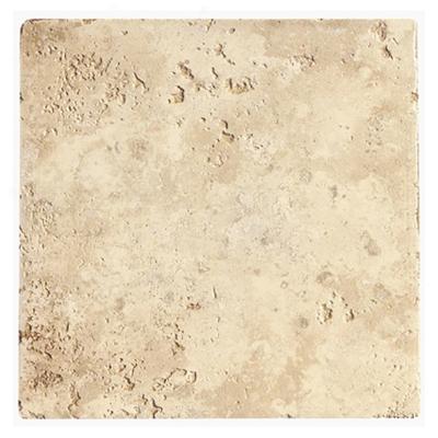 Ricchetti Vitruvious 16 X 16 Vestibulum Tile & Stone