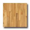 Robbins Urban Exotics Collection Plank Birch 3  Fool Hardwood Flooring