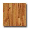 Robbins Urban Exotics Collection Plank Cherry 3  Rude Natrual Hardwood Flooring