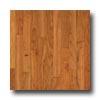 Robbins Urban Exotics Collection Strip Cherry 2  Natural Hardwood Flooring