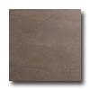 Roca Avila 18 X 18 Alga Tile & Stone