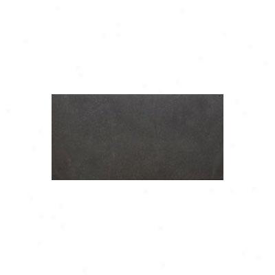 Roca Flourishing Urban 12 X 24 Rectified Midnight Tile & Stone