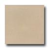 Roca Stratos Orion 24 X 24 Blanco Tile & Stone