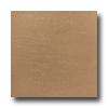 Roca Stratos Orion 24 X 24 Beige Tile & Stone