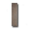 Rock & Rock Packst0ne 12 X 48 Bambu Tile & Stone