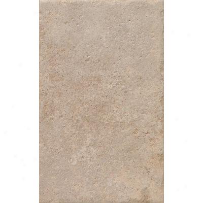 Rock & Rock Shellstone 13 X 21 Beige Tile & Stone