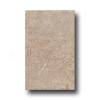 Rock & Rock Shellstone 13 X 21 Marron Tile & Stone