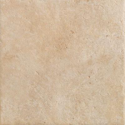 Rock & Rock Shellstone 21 X 21 Beige Tile & Stone