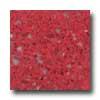 Santa Regina Accent 16 X 16 (polished) Poinsettia Terrazzo Tile