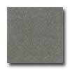 Santa Regina Architectural 24 X 24 (antique) Olive Terrazzo Tile